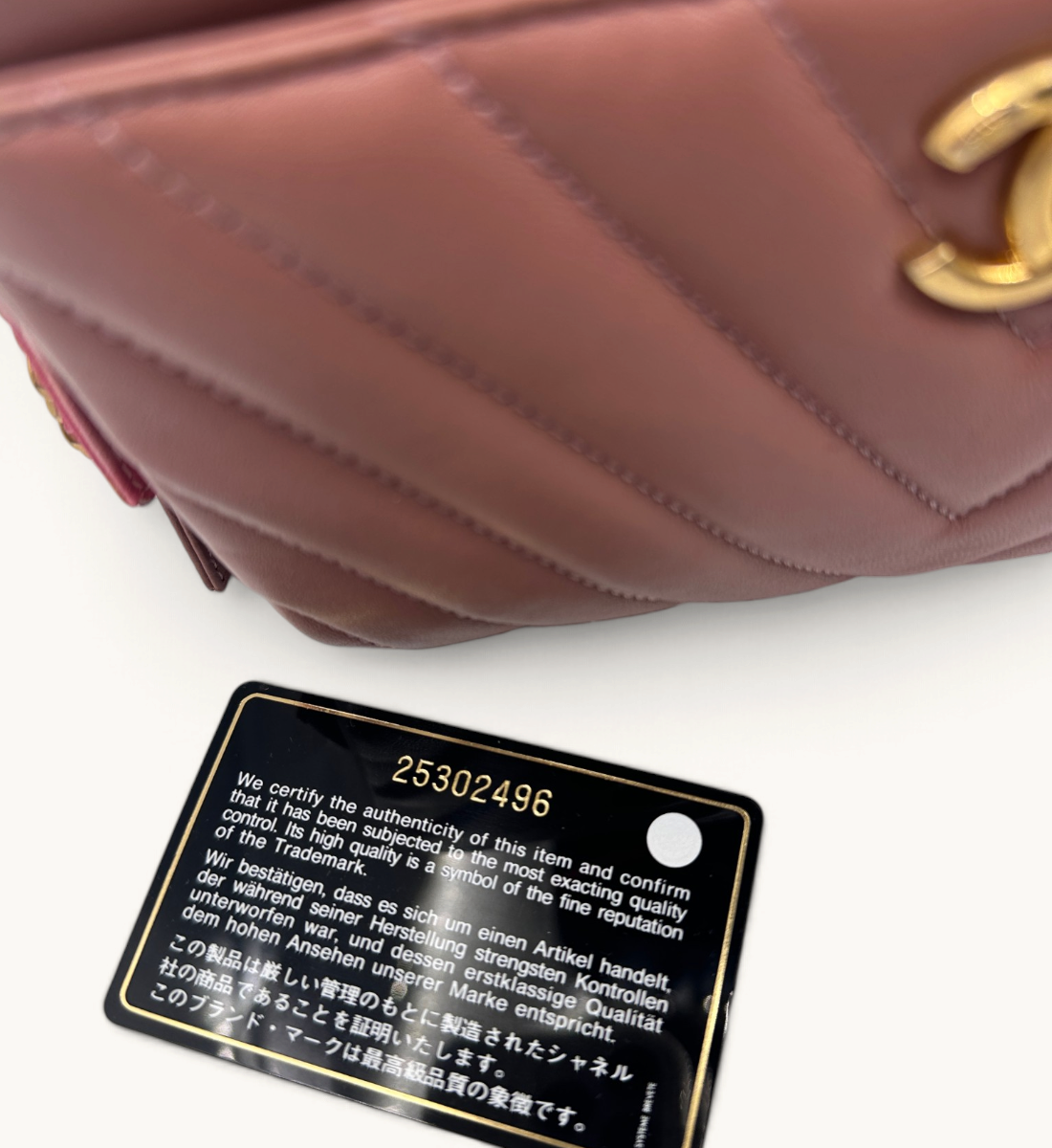 Chevron Camera Bag