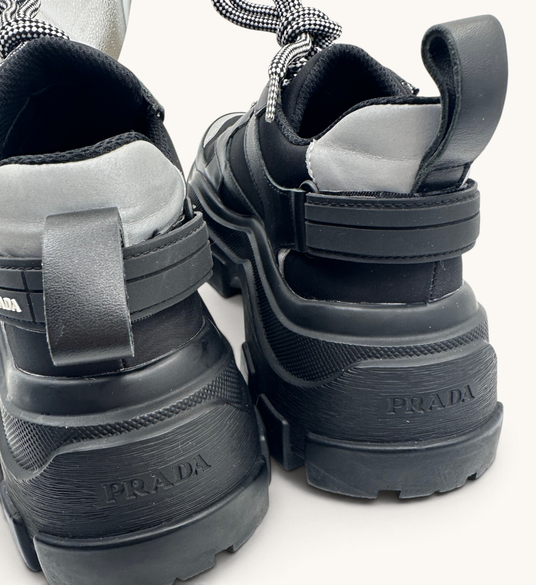 Centaurus Low Top Sneakers