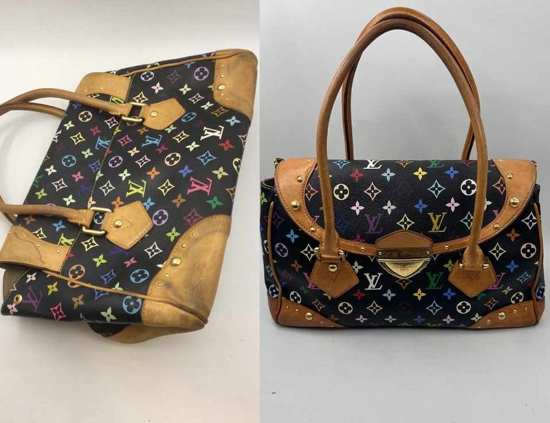 Louis Vuitton Multicolor Speedy