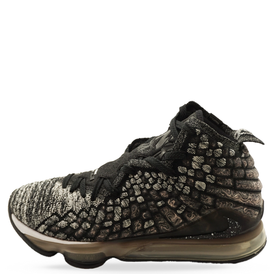 Lebron XVII In The Arena